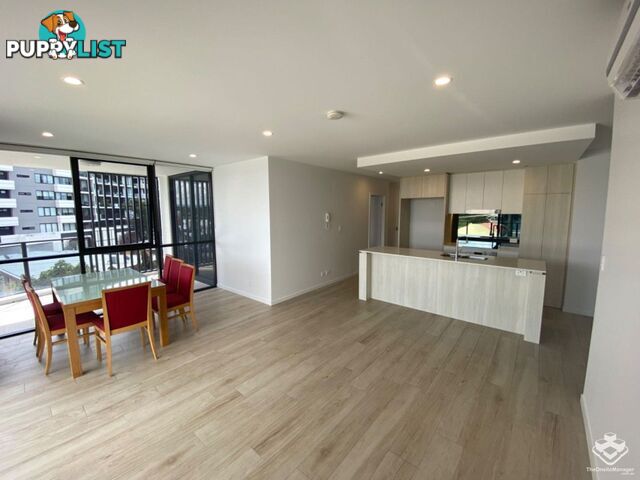 ID:21140328 266 Stanhill Drive Surfers Paradise QLD 4217