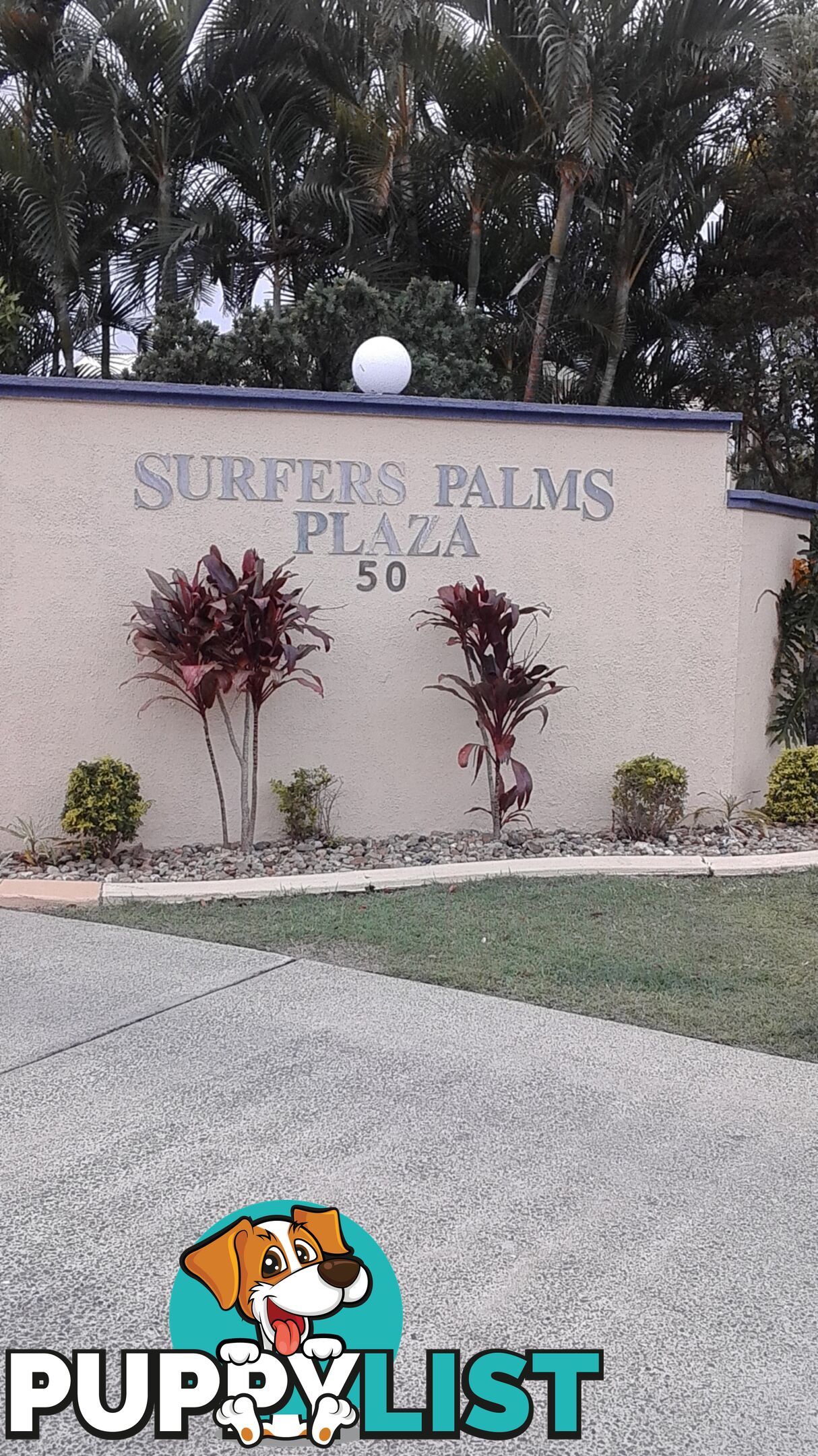 ID:3908336 50 St Kevins Avenue Benowa QLD 4217