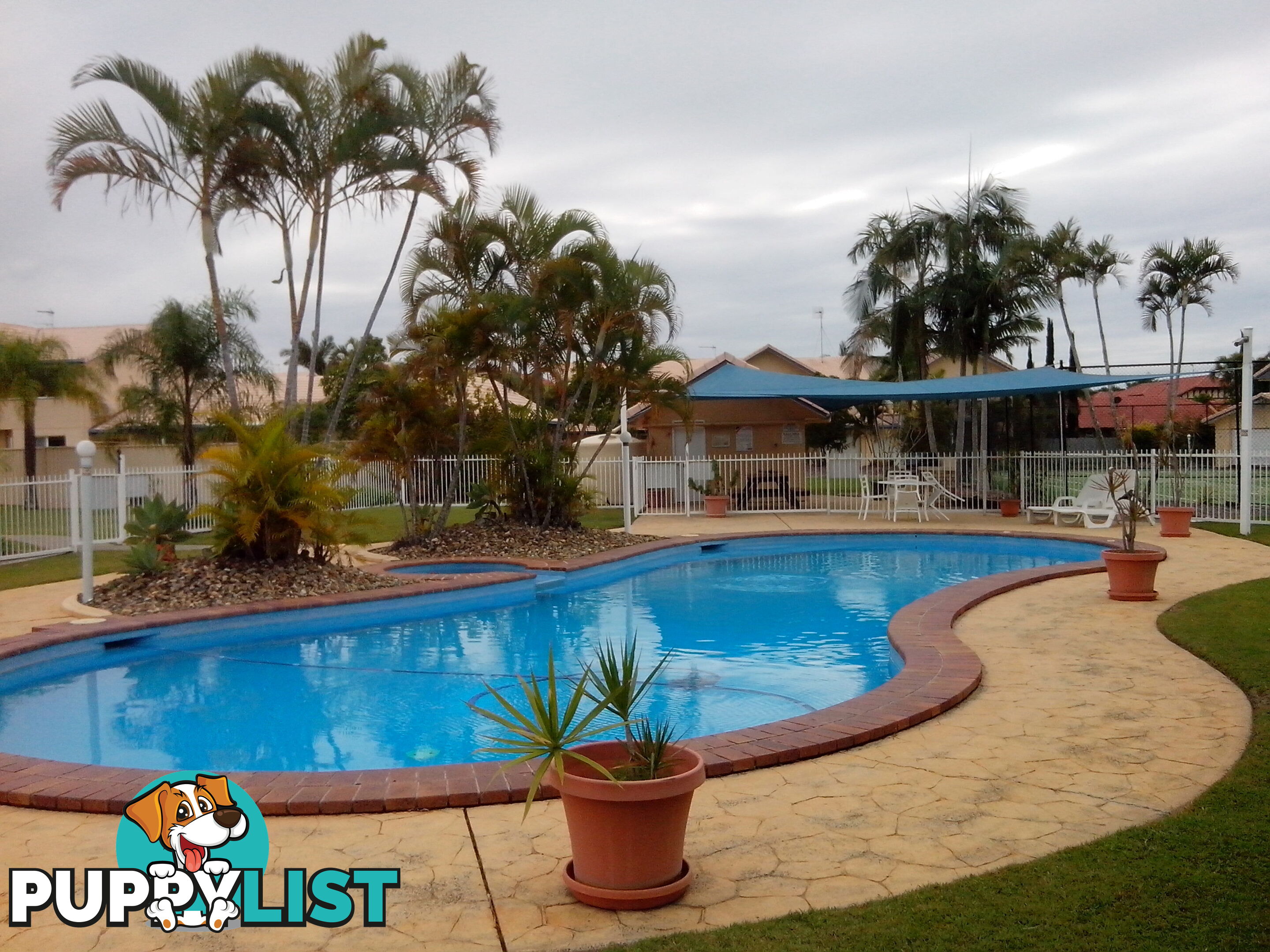 ID:3908336 50 St Kevins Avenue Benowa QLD 4217