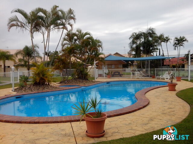 ID:3908336 50 St Kevins Avenue Benowa QLD 4217
