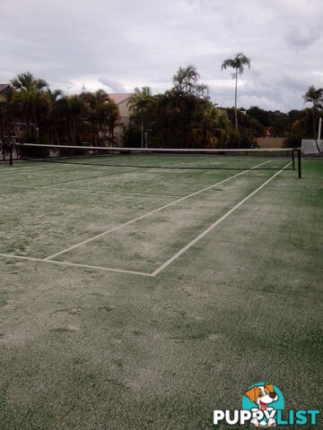 ID:3908336 50 St Kevins Avenue Benowa QLD 4217