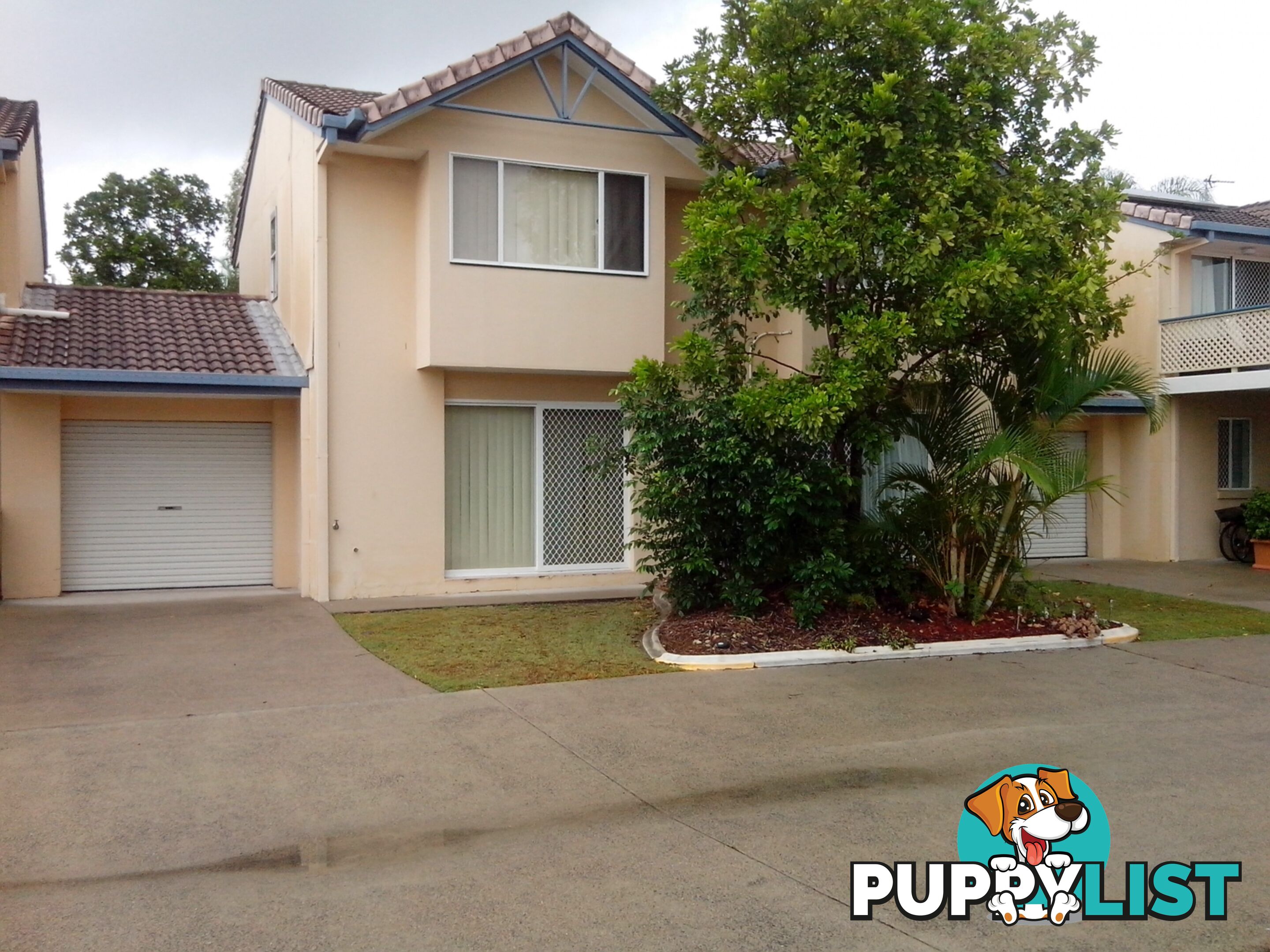 ID:3908336 50 St Kevins Avenue Benowa QLD 4217