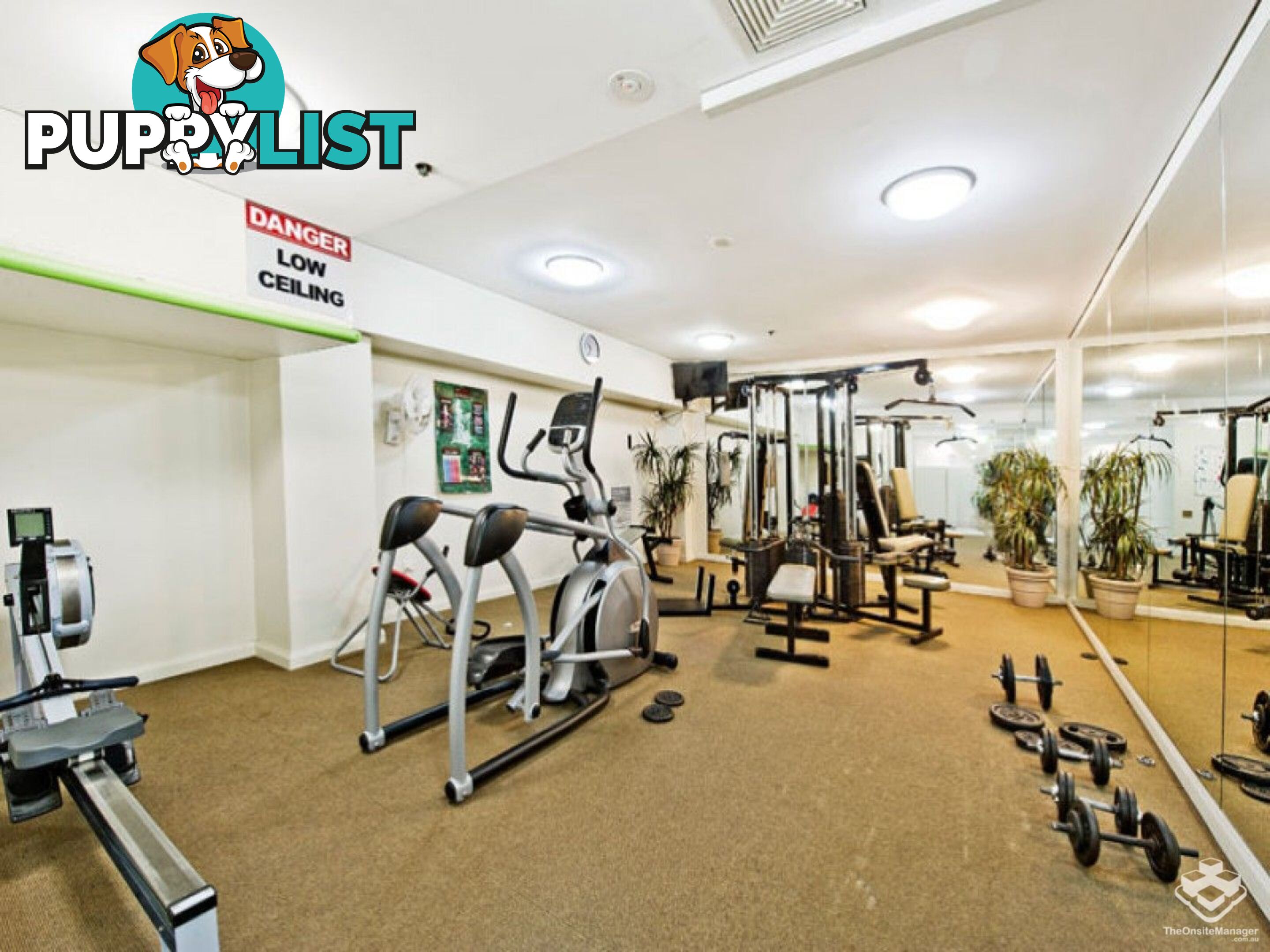 ID:21153844 14 Brown Street Chatswood NSW 2067