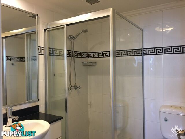 ID:21153844 14 Brown Street Chatswood NSW 2067