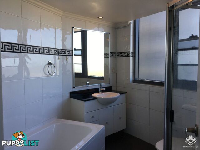 ID:21153844 14 Brown Street Chatswood NSW 2067