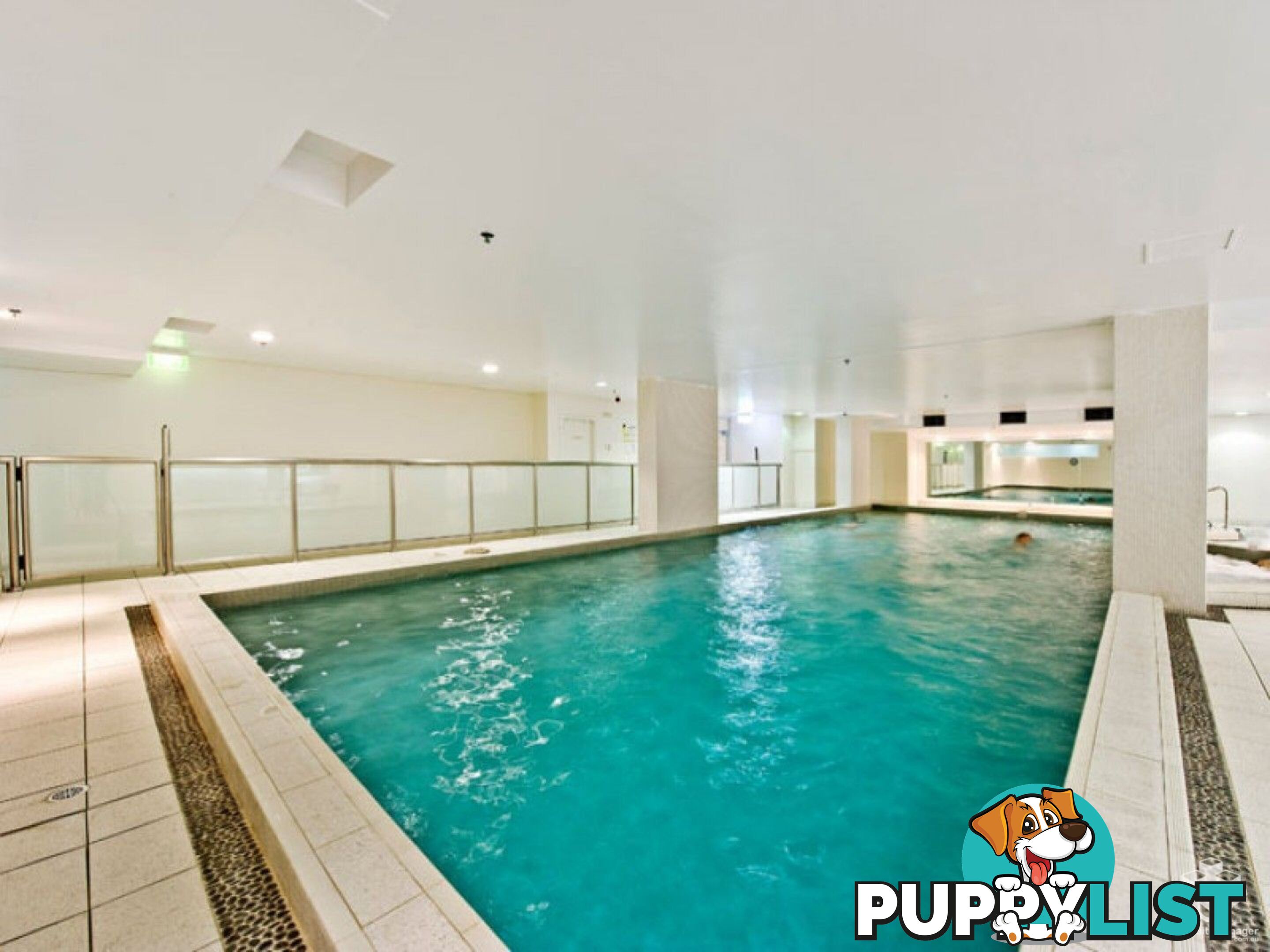 ID:21153844 14 Brown Street Chatswood NSW 2067