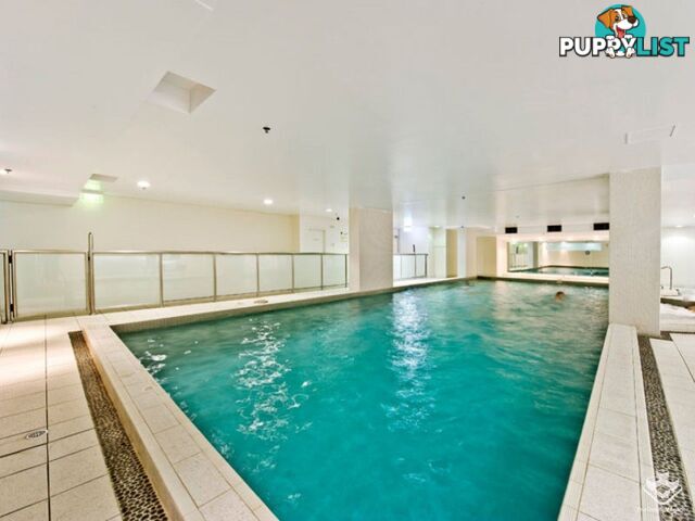 ID:21153844 14 Brown Street Chatswood NSW 2067
