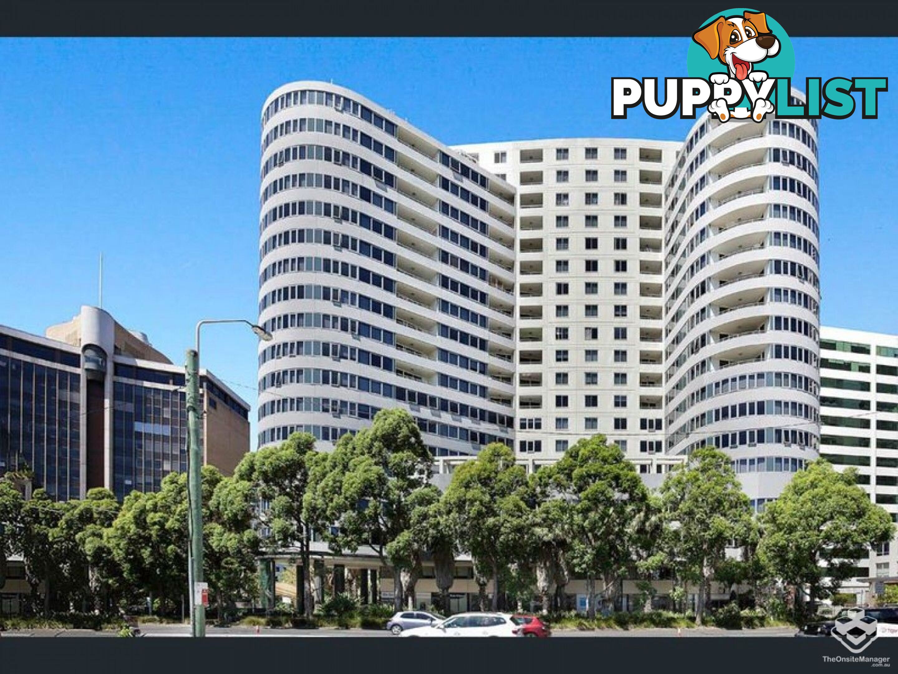 ID:21153844 14 Brown Street Chatswood NSW 2067