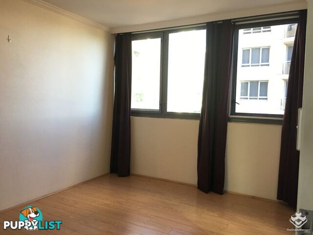 ID:21153844 14 Brown Street Chatswood NSW 2067