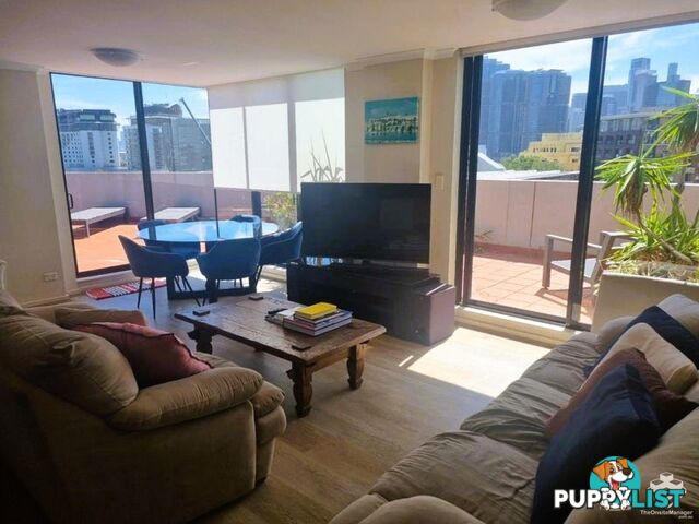 ID:21154412 209 Harris Street Pyrmont NSW 2009