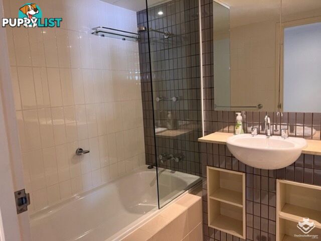 ID:21154412 209 Harris Street Pyrmont NSW 2009