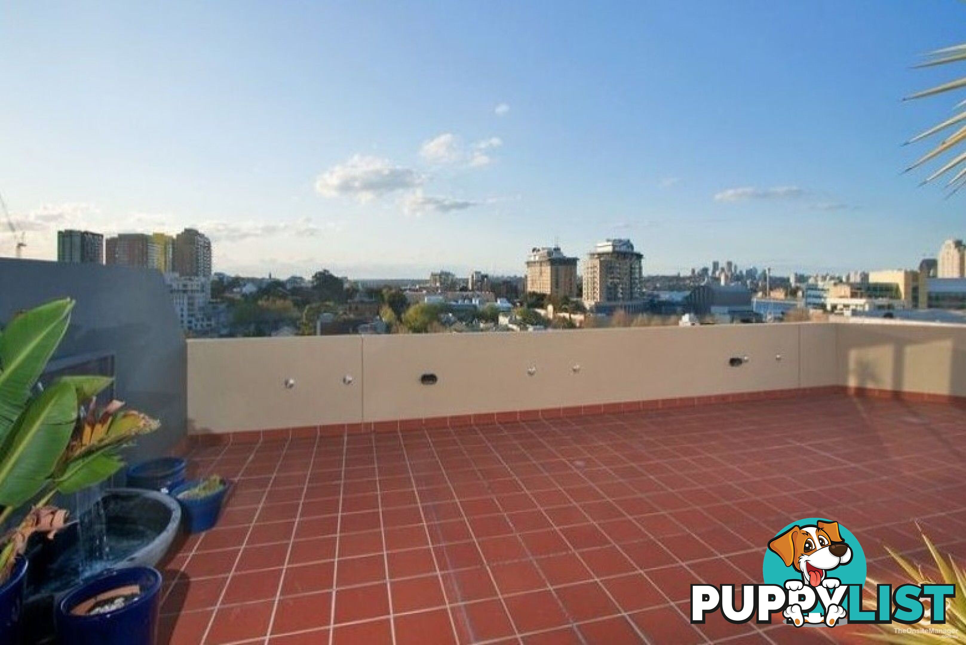 ID:21154412 209 Harris Street Pyrmont NSW 2009