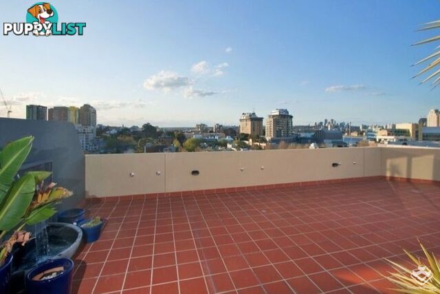 ID:21154412 209 Harris Street Pyrmont NSW 2009