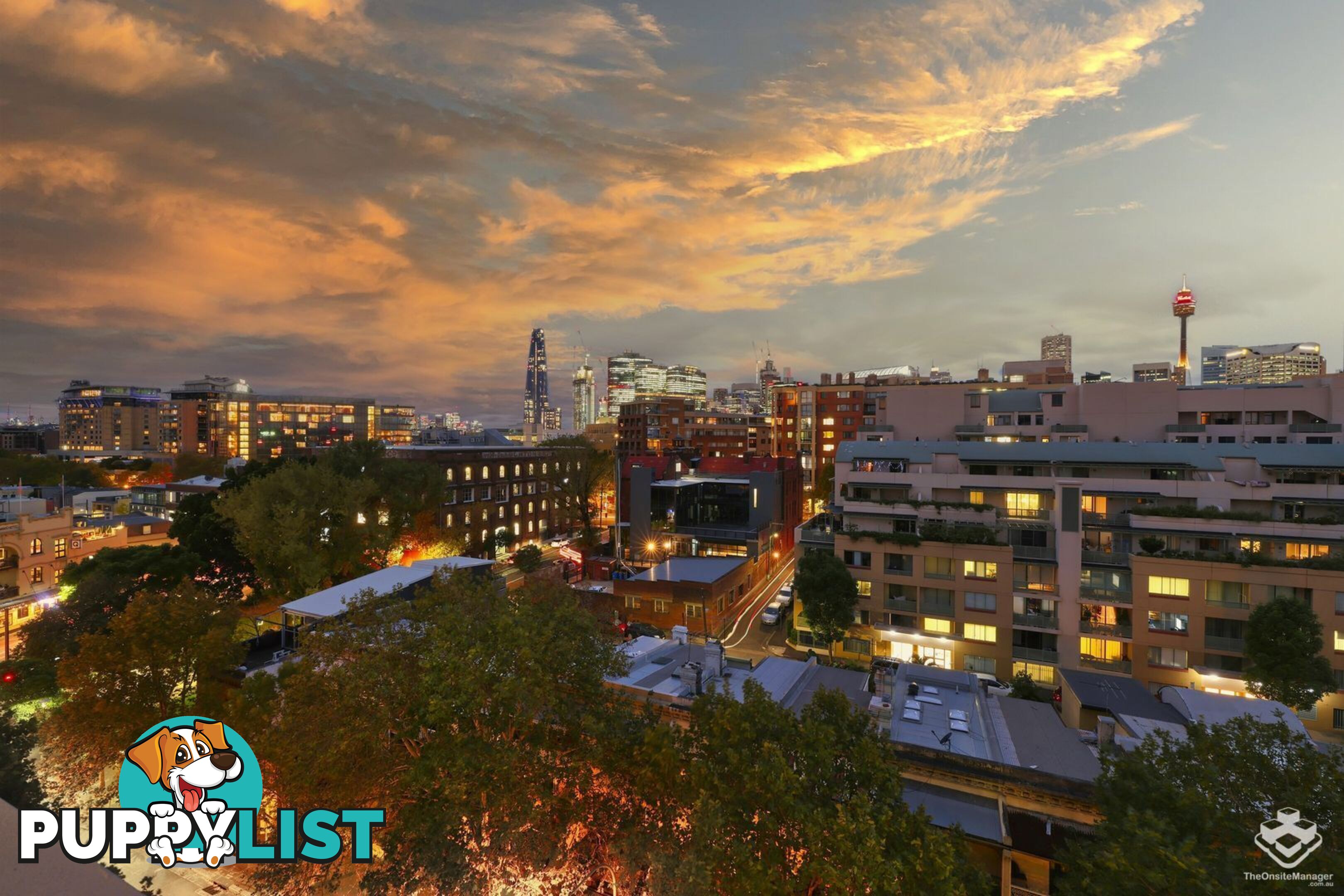 ID:21154412 209 Harris Street Pyrmont NSW 2009