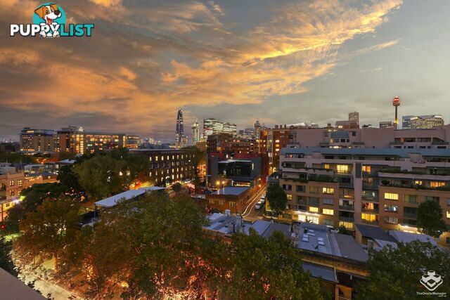 ID:21154412 209 Harris Street Pyrmont NSW 2009