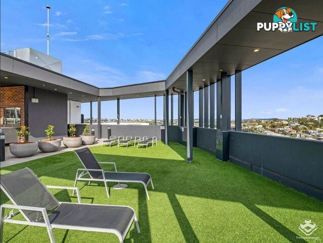 L9/42 Wyandra Street Newstead QLD 4006
