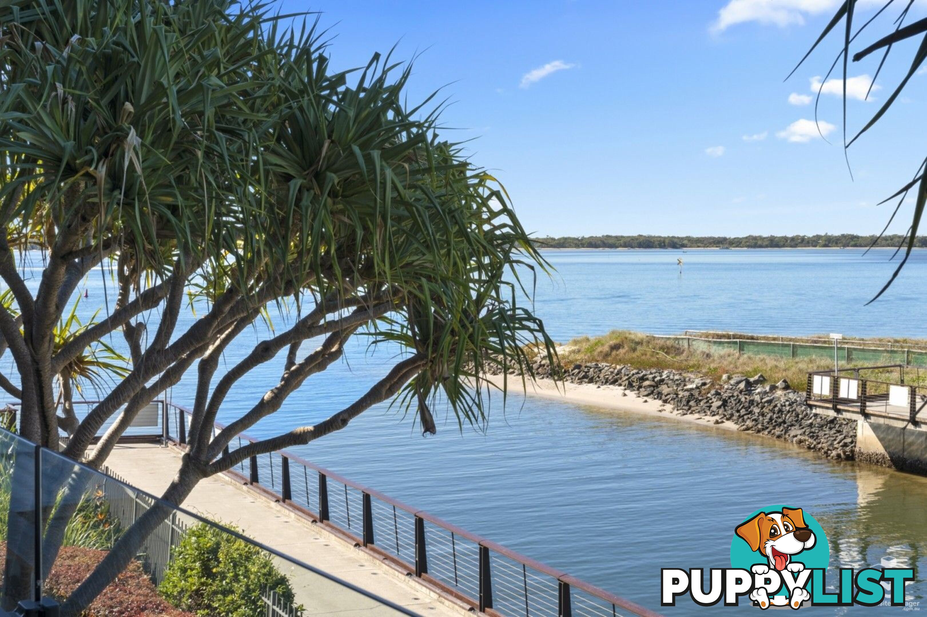 ID:21152392 323 Bayview Street Hollywell QLD 4216