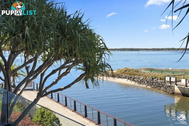 ID:21152392 323 Bayview Street Hollywell QLD 4216