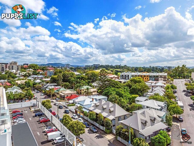 8 Dickens Street Spring Hill QLD 4000