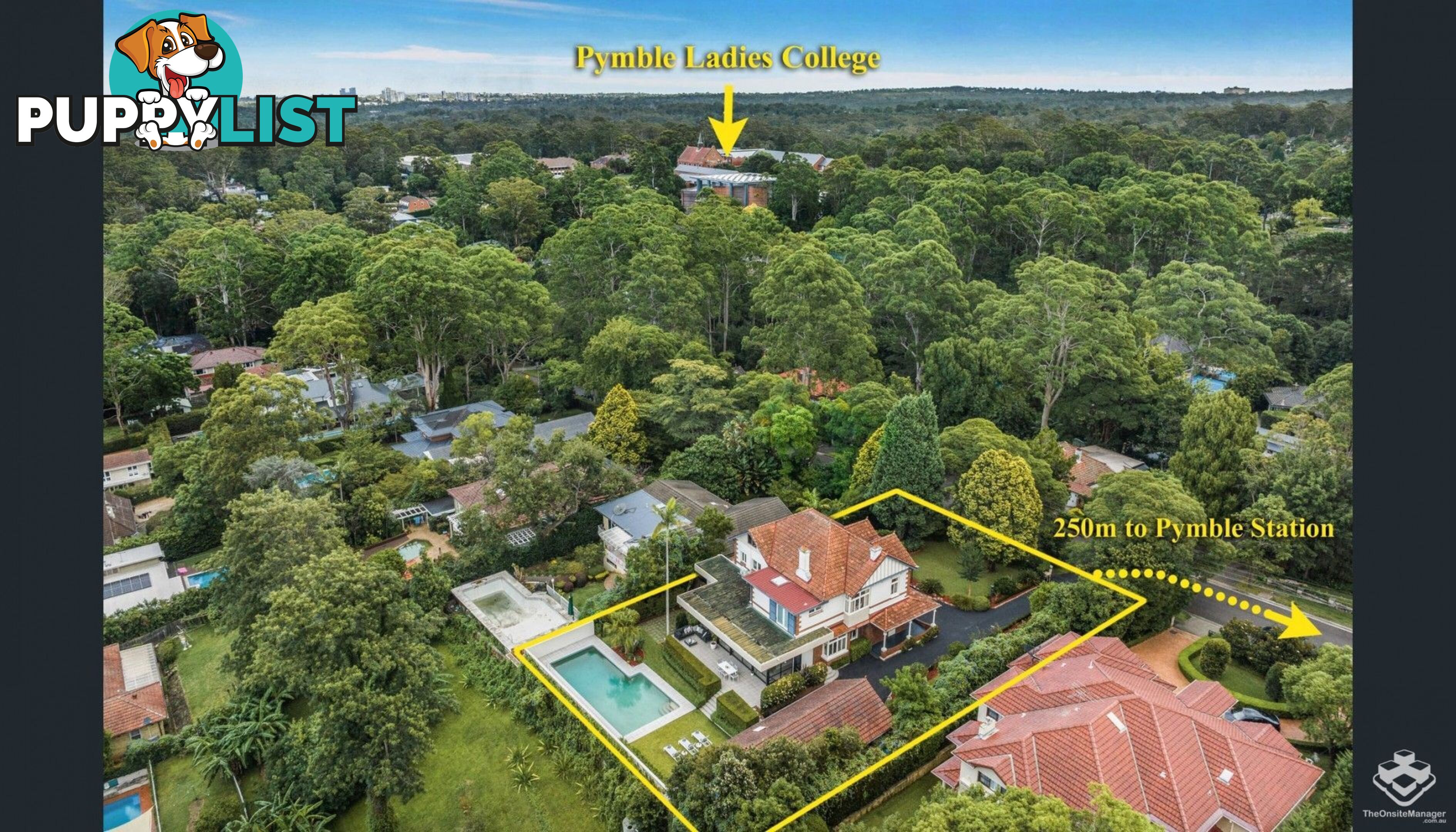 ID:21145720/12-14 Pymble Avenue Pymble NSW 2073