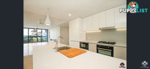 ID:21156657 388 Marine Parade Labrador QLD 4215