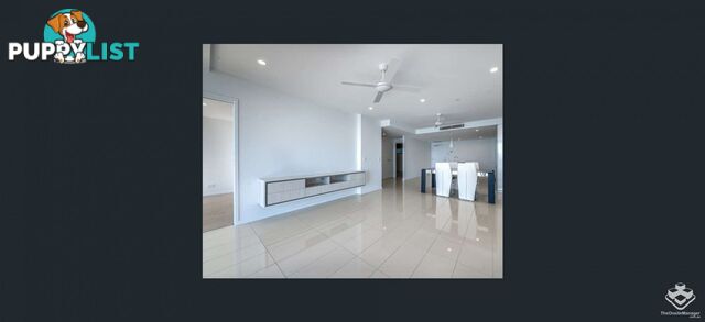 ID:21156657 388 Marine Parade Labrador QLD 4215