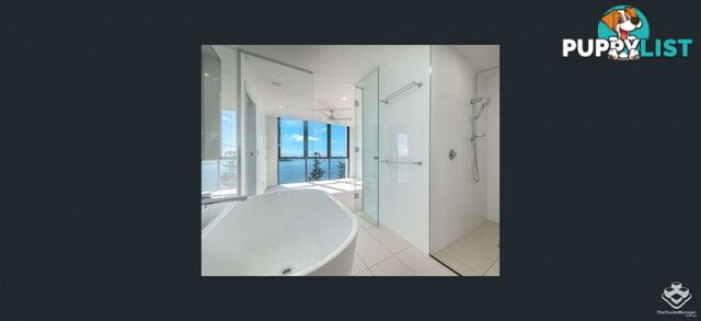 ID:21156657 388 Marine Parade Labrador QLD 4215