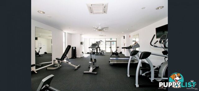 ID:21156657 388 Marine Parade Labrador QLD 4215