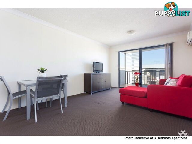 ID:21155844 35 Morrow Street Taringa QLD 4068