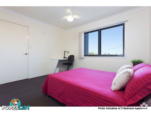 ID:21155844 35 Morrow Street Taringa QLD 4068