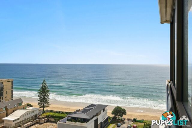 ID:21156193 3554 Main Beach Parade Main Beach QLD 4217