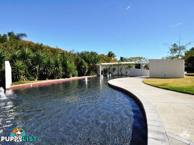 ID:21156193 3554 Main Beach Parade Main Beach QLD 4217