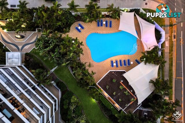 ID:21156193 3554 Main Beach Parade Main Beach QLD 4217