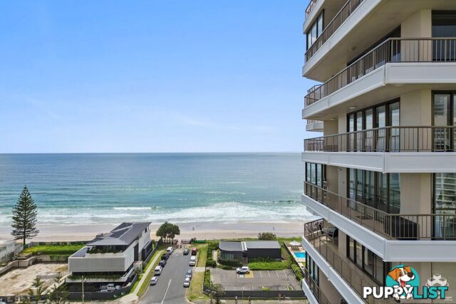 ID:21156193 3554 Main Beach Parade Main Beach QLD 4217