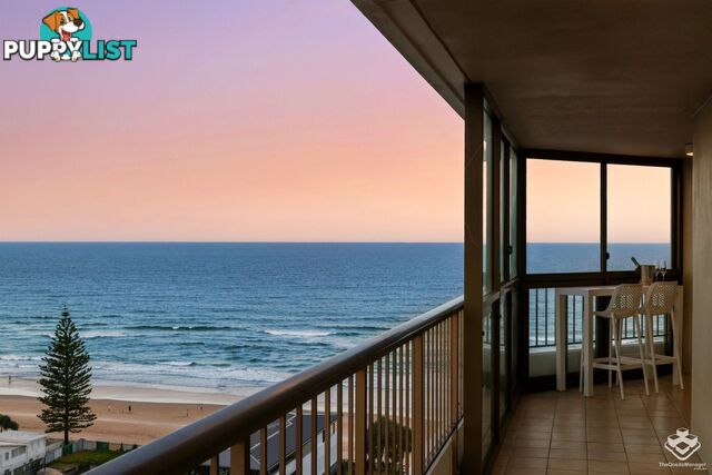 ID:21156193 3554 Main Beach Parade Main Beach QLD 4217