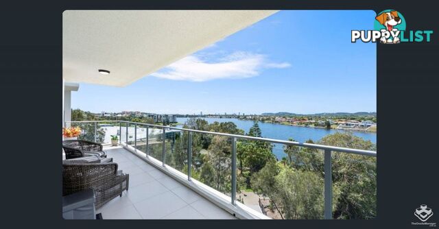 ID:21154508 33 Lakefront Crescent Varsity Lakes QLD 4227