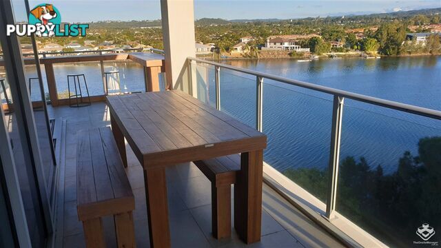 ID:21154508 33 Lakefront Crescent Varsity Lakes QLD 4227