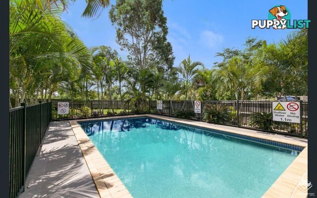 19/7 Johnston Street Carina QLD 4152