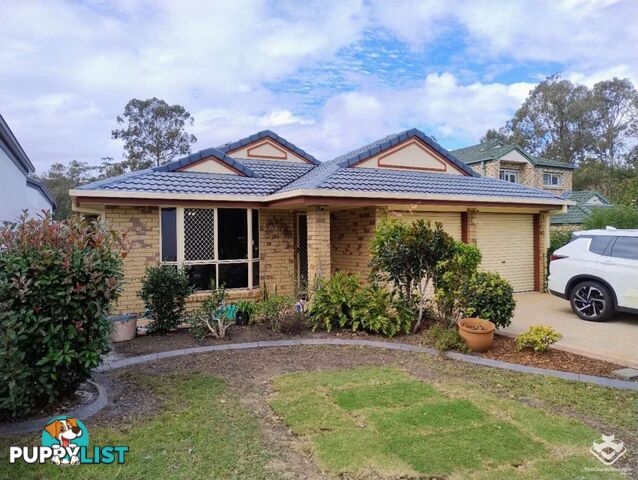 20 Glasshouse Crescent Forest Lake QLD 4078