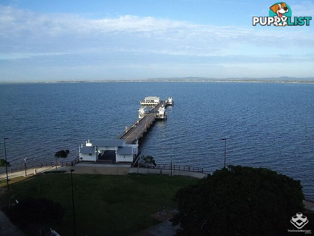 ID:21153766 14 Oxley Avenue Woody Point QLD 4019