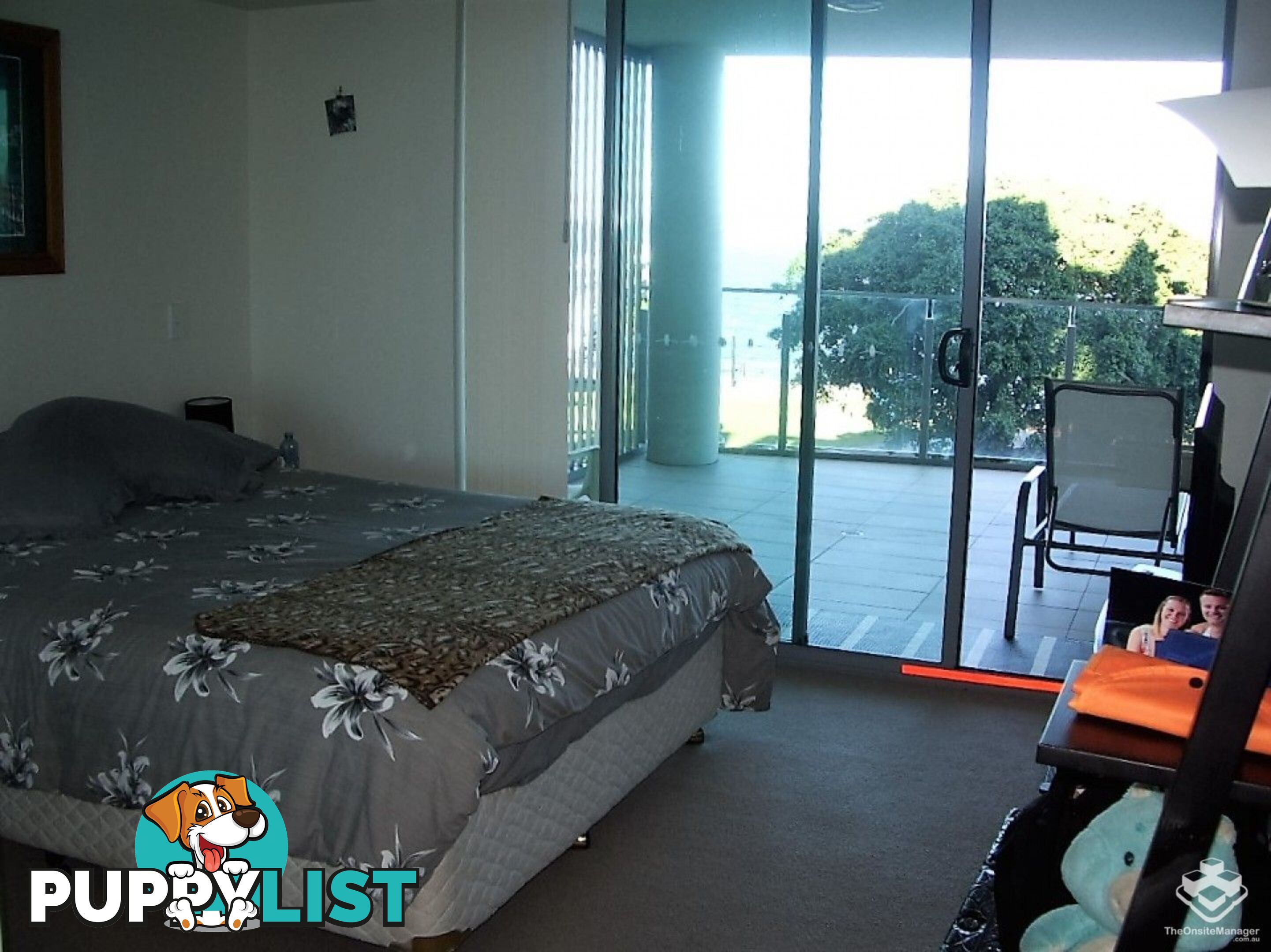 ID:21153766 14 Oxley Avenue Woody Point QLD 4019