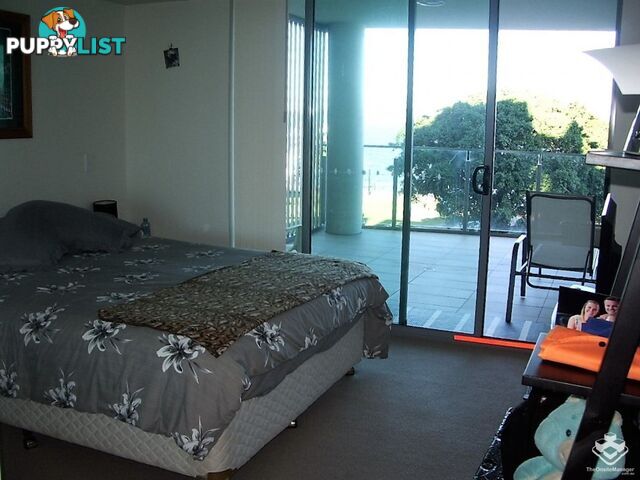 ID:21153766 14 Oxley Avenue Woody Point QLD 4019