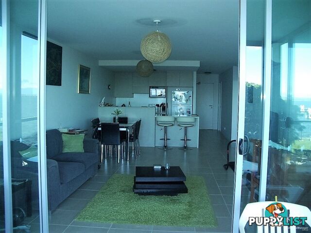 ID:21153766 14 Oxley Avenue Woody Point QLD 4019