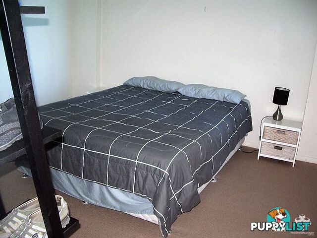 ID:21153766 14 Oxley Avenue Woody Point QLD 4019