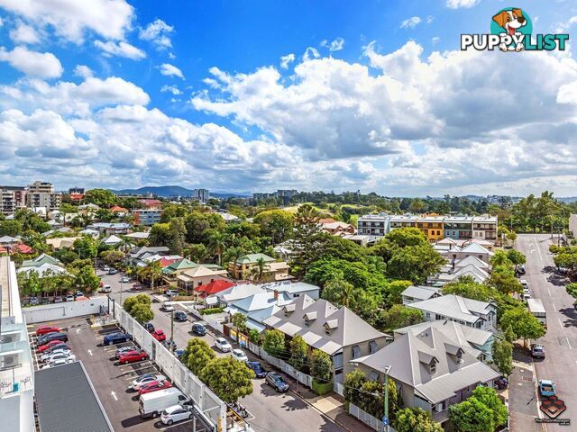 ID:3895717/8 Dickens Street Spring Hill QLD 4000