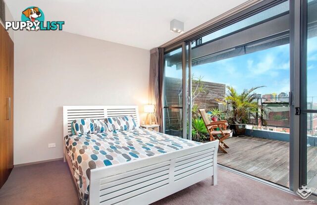 604/320 Harris Street Pyrmont NSW 2009