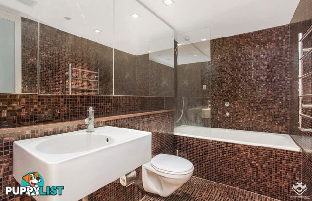 604/320 Harris Street Pyrmont NSW 2009