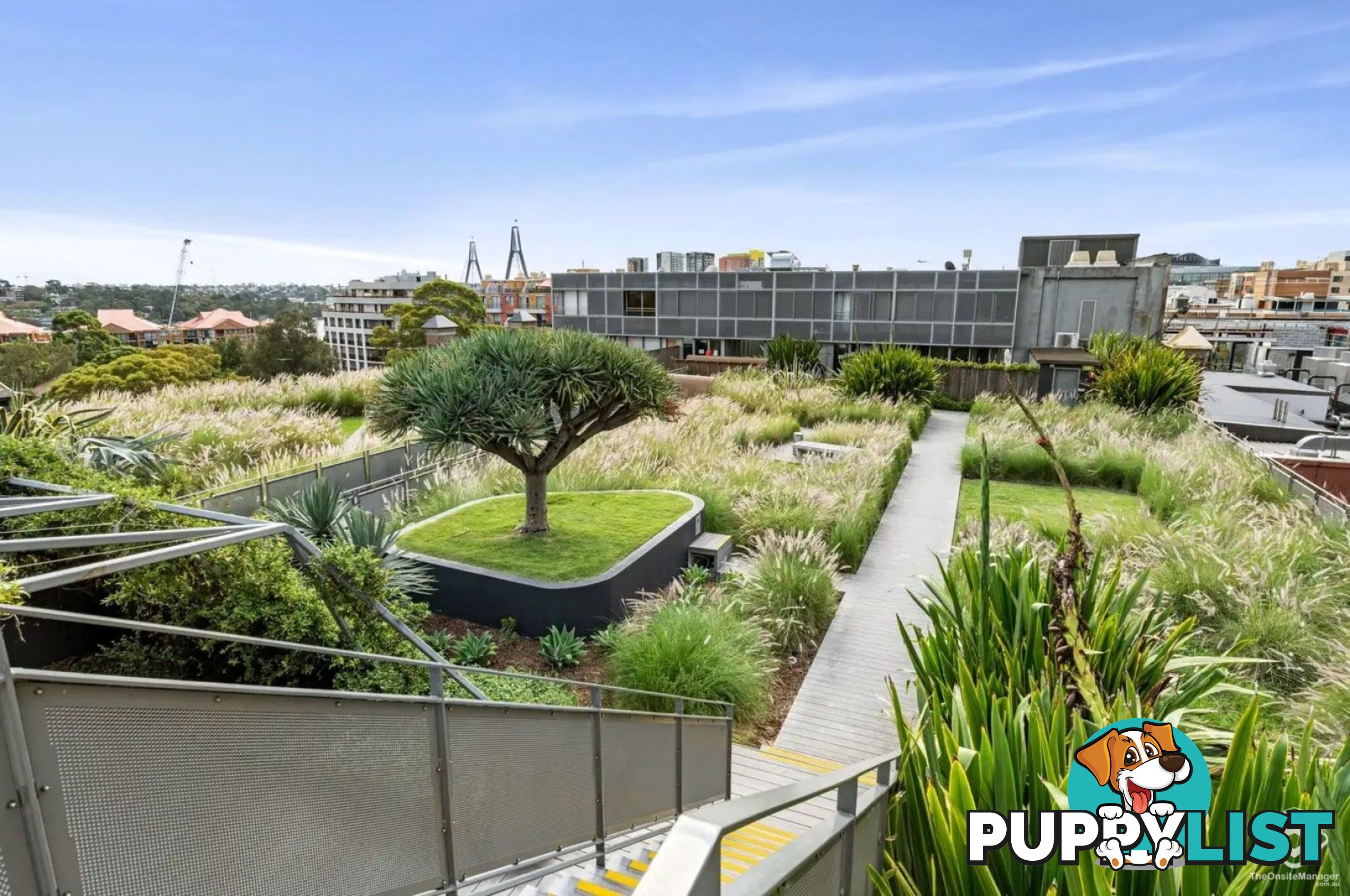 604/320 Harris Street Pyrmont NSW 2009