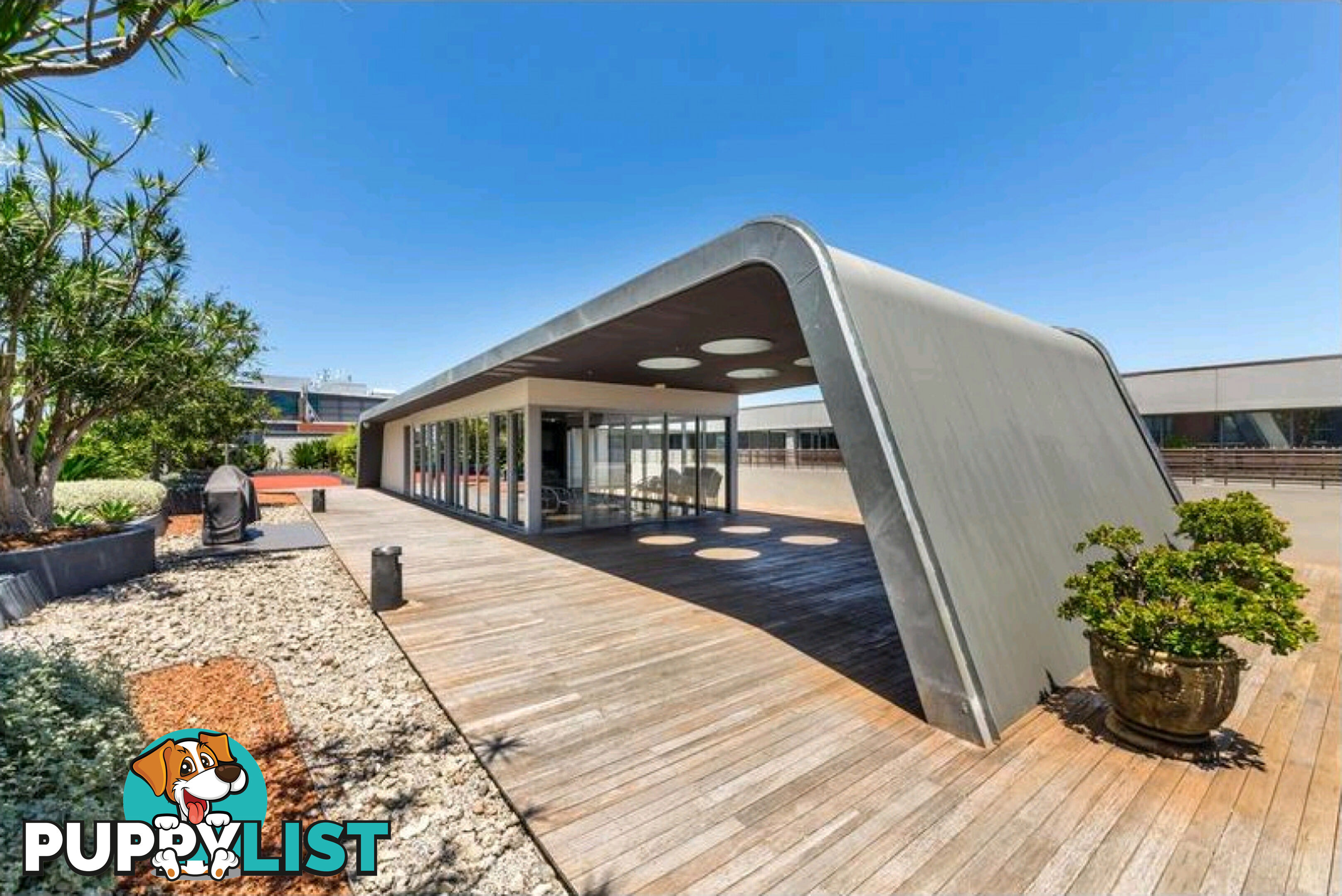 604/320 Harris Street Pyrmont NSW 2009