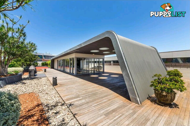 604/320 Harris Street Pyrmont NSW 2009